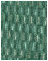 SN-Teal