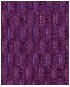 SN-Purple